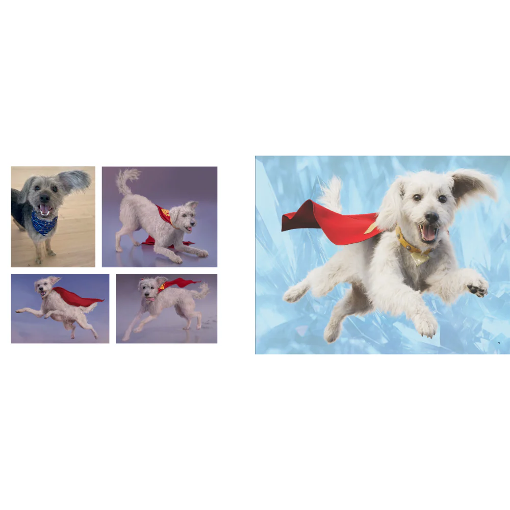 Superman: The Art and Making of the Film - Image 4